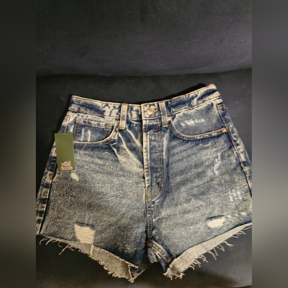 Wild Fable Distressed Denim Shorts - Blue
